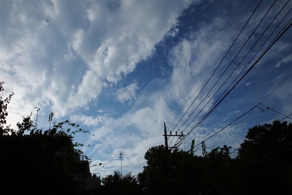 富士フイルム FinePix HS50EXR投稿画像・動画 - 価格.com