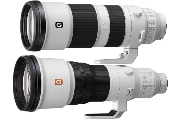 SONY FE 600mm F4 GM OSS SEL600F40GM投稿画像・動画 - 価格.com