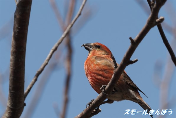 デジタル一眼カメラなんでも掲示板のクチコミ 価格 Com