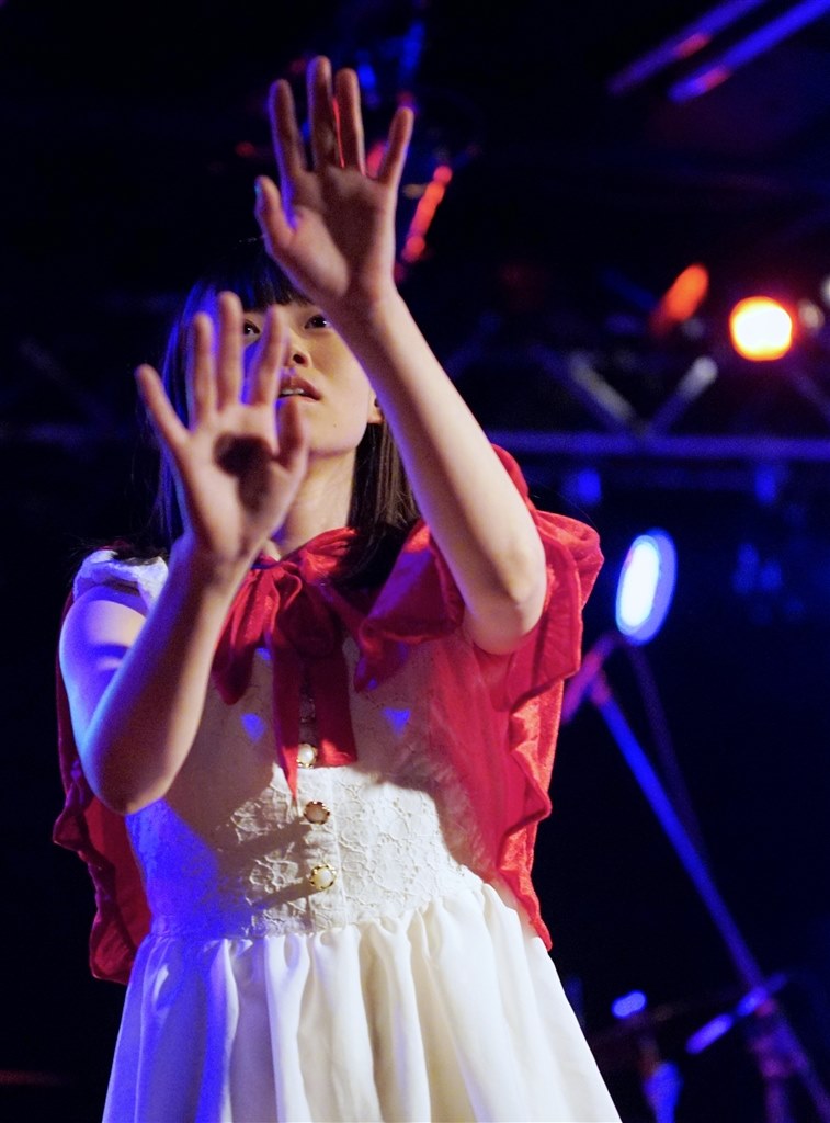 ジャンク品】Nikon D5600 ライブビューモードだと撮影可 D5600