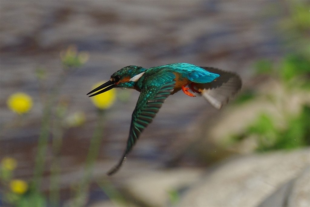 【現最安・未使用】FAB Three of a Kind 3枚 藤原産業 セフティー3 刈払機用防振肩掛バンドダブル KB-26A ( 1