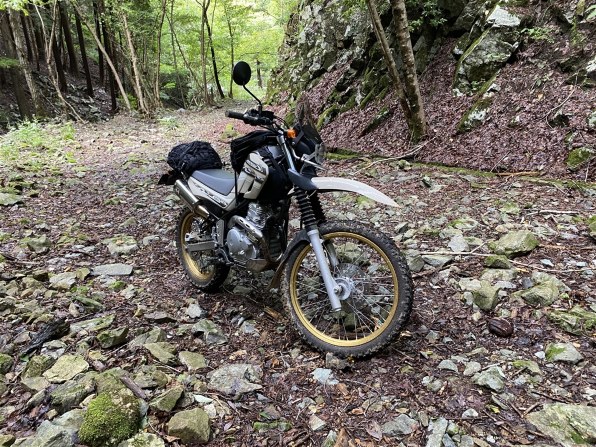 Ecuのリセットについて ホンダ Cb400 スーパーフォア のクチコミ掲示板 価格 Com