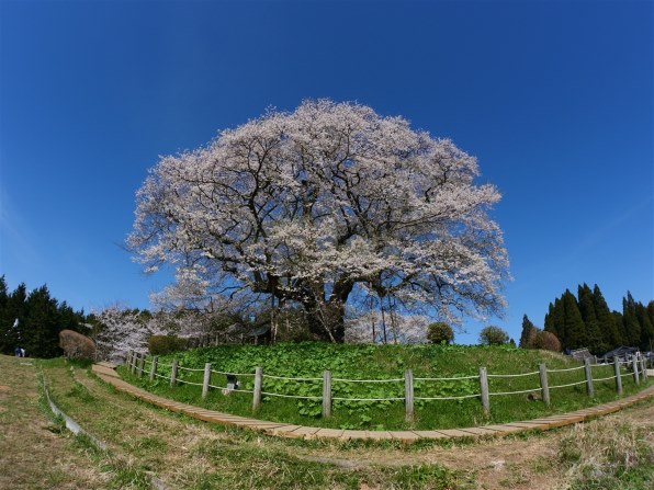 七工匠 7Artisans 7.5mm F2.8 FISH-EYE II ED - カメラ