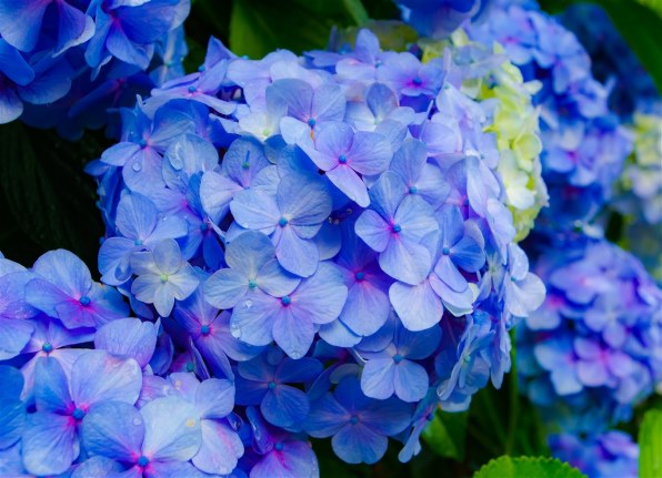 ペンタックス HD PENTAX-DA 20-40mmF2.8-4ED Limited DC WR