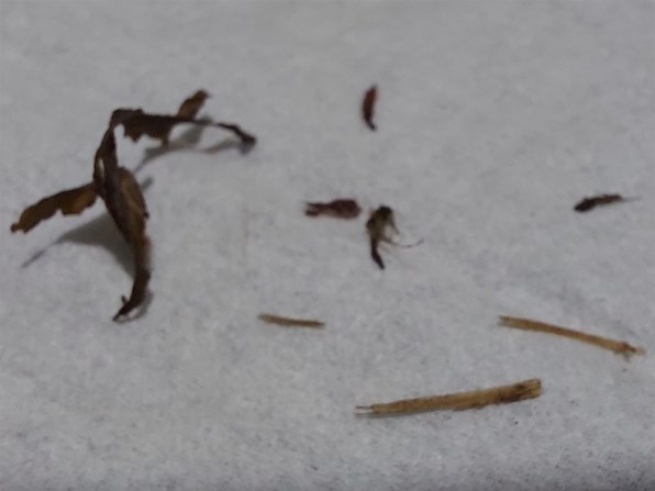 我が家にスマートディオz4が来ました ホンダ スマート ディオ のクチコミ掲示板 価格 Com