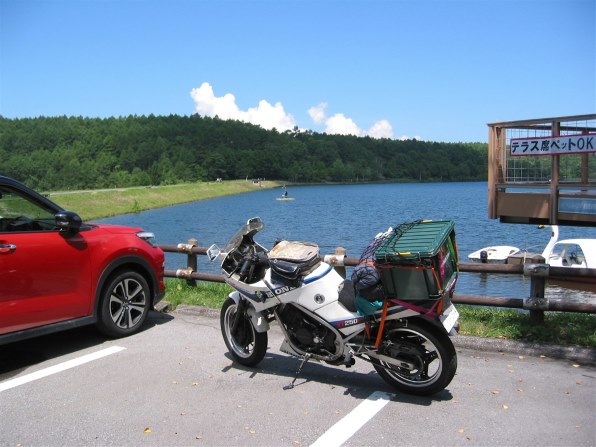 VTZ250 レストアベース 初爆OK キーあり vtz250 レストアベース