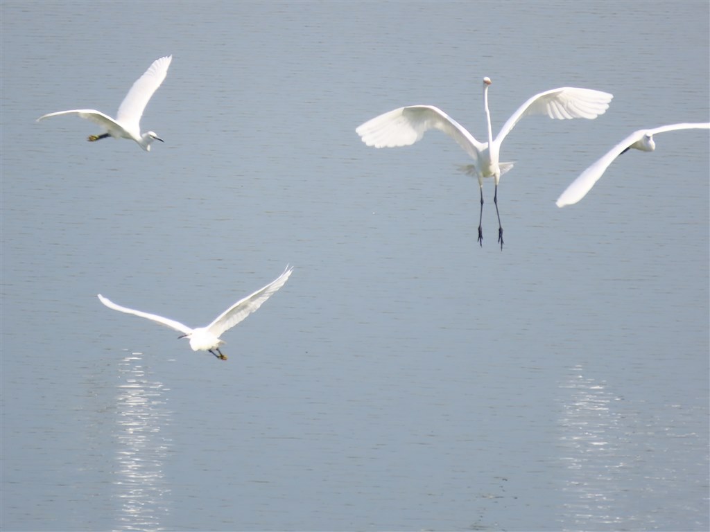 元展示品を発見しました。』 パナソニック LUMIX DMC-FZ300 のクチコミ