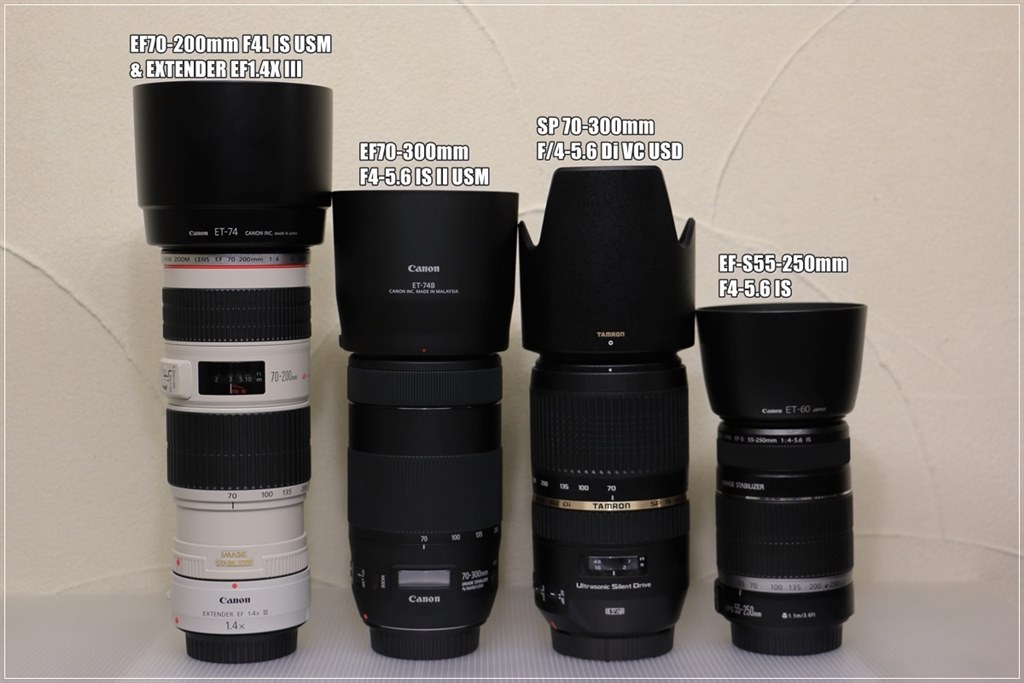 CANON EOS KISS ×5 とSIGMA 70-300mm F4-5.6 CA70300IS2.jpg
