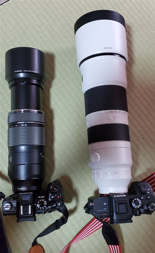 重いけど買って良かった』 SONY FE 200-600mm F5.6-6.3 G OSS