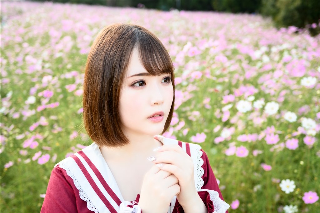 Zfcでの描写』 ニコン NIKKOR Z 28mm f/2.8 Special Edition の