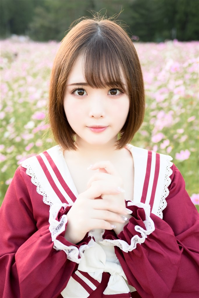 Zfcでの描写』 ニコン NIKKOR Z 28mm f/2.8 Special Edition の