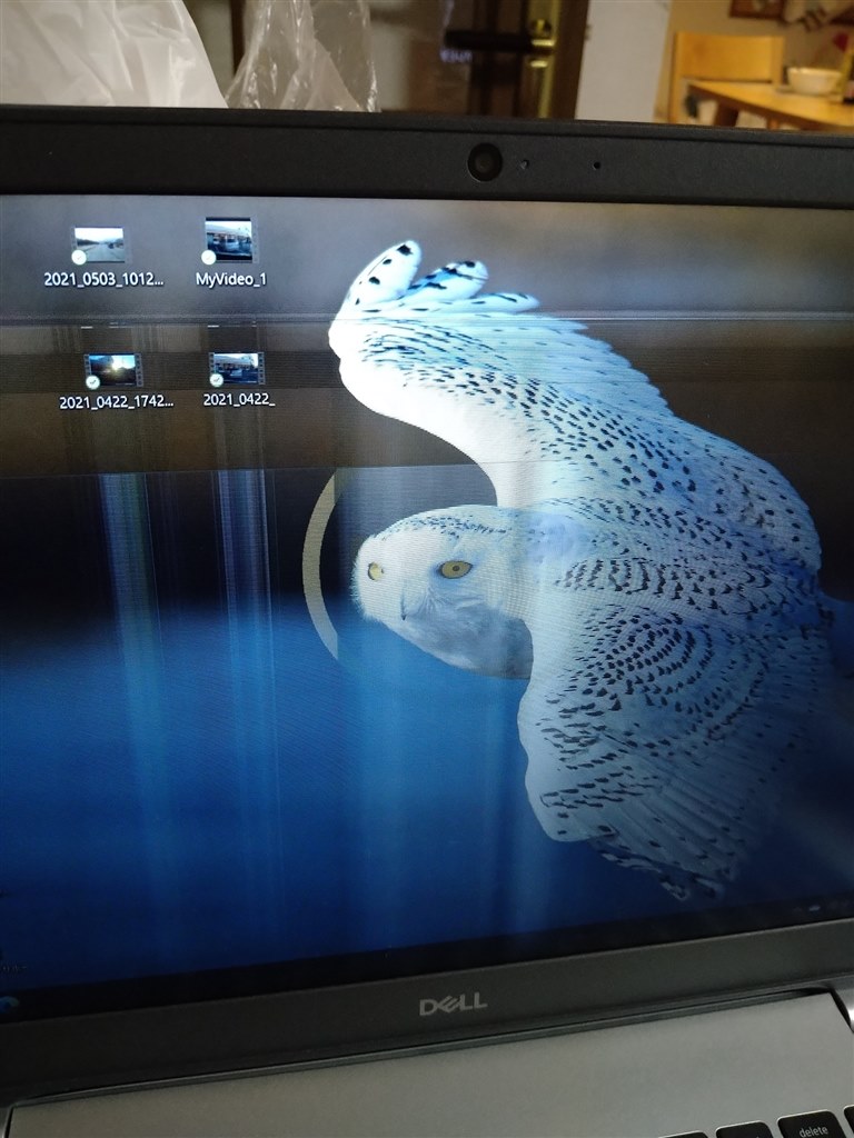 液晶切れを疑ってますが体験された方居ます？』 Dell Inspiron