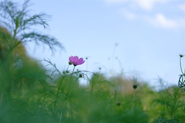 大人気キラキラVAIO/WIN11/2世代Core-i5/ZOOM/ブルーレイ 大人気キラキラVAIO/WIN11/2世代Core-i5/ZOOM/ブルーレイ 一眼