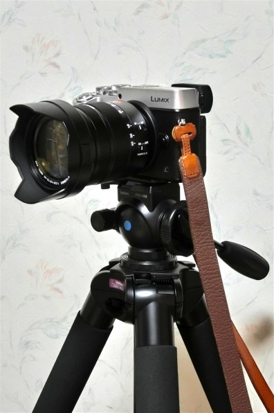 カシオ HIGH SPEED EXILIM EX-ZR4000BK [ブラック]で撮影された写真