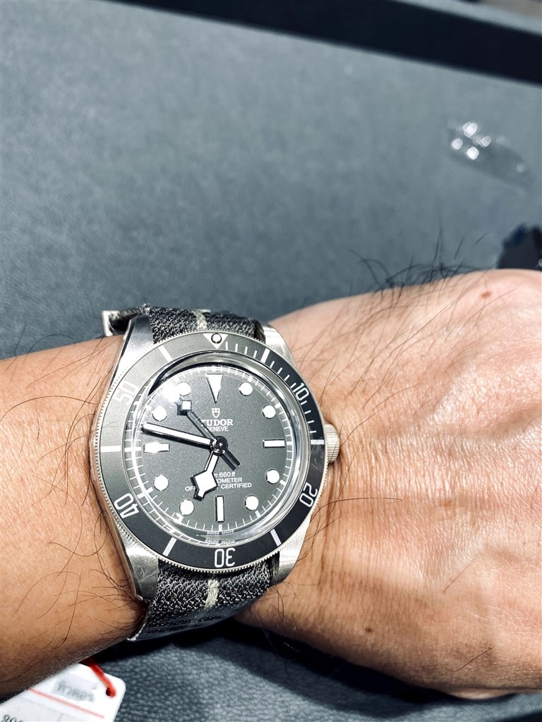 超美品純正 TUDOR ブラックベイ58 79010SG 革ベルト SV925