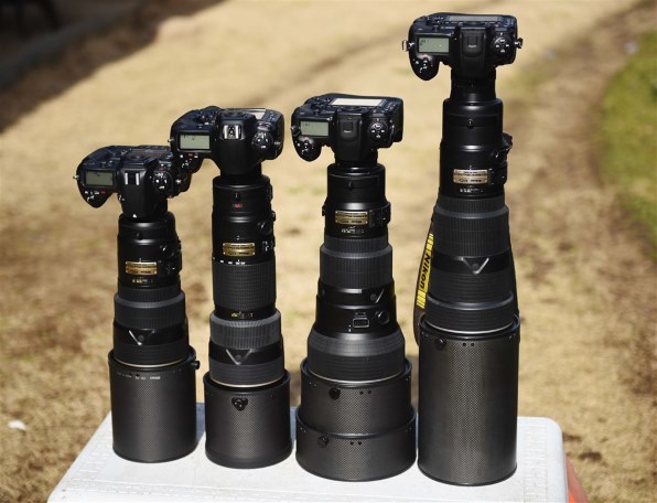 ニコン AF-S VR Zoom-Nikkor 200-400mm f/4G IF-ED投稿画像・動画 