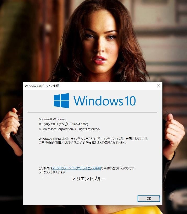 次期バージョンWindows10 21H2 ビルド19044 1288にした』 クチコミ