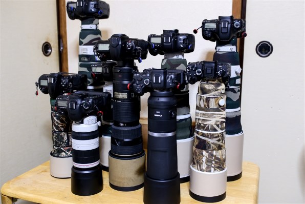 ニコン AF-S VR Zoom-Nikkor 200-400mm f/4G IF-ED投稿画像・動画 ...