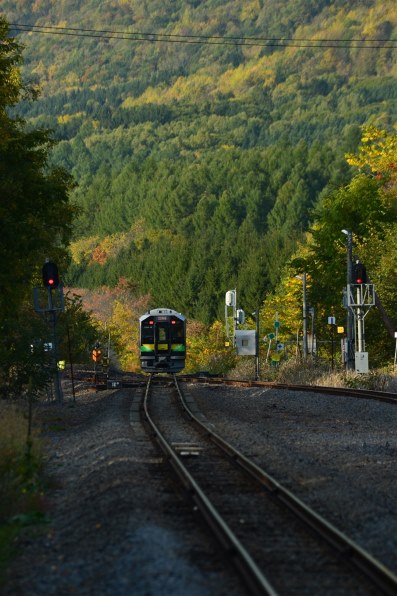 鉄道写真利器 Nikon AF VR 80-400mm f/4.5-5.6D Amazon.co.jp: Nikon Ai AF VR NIKKOR ED 80-400mm F4.5-5.6D
