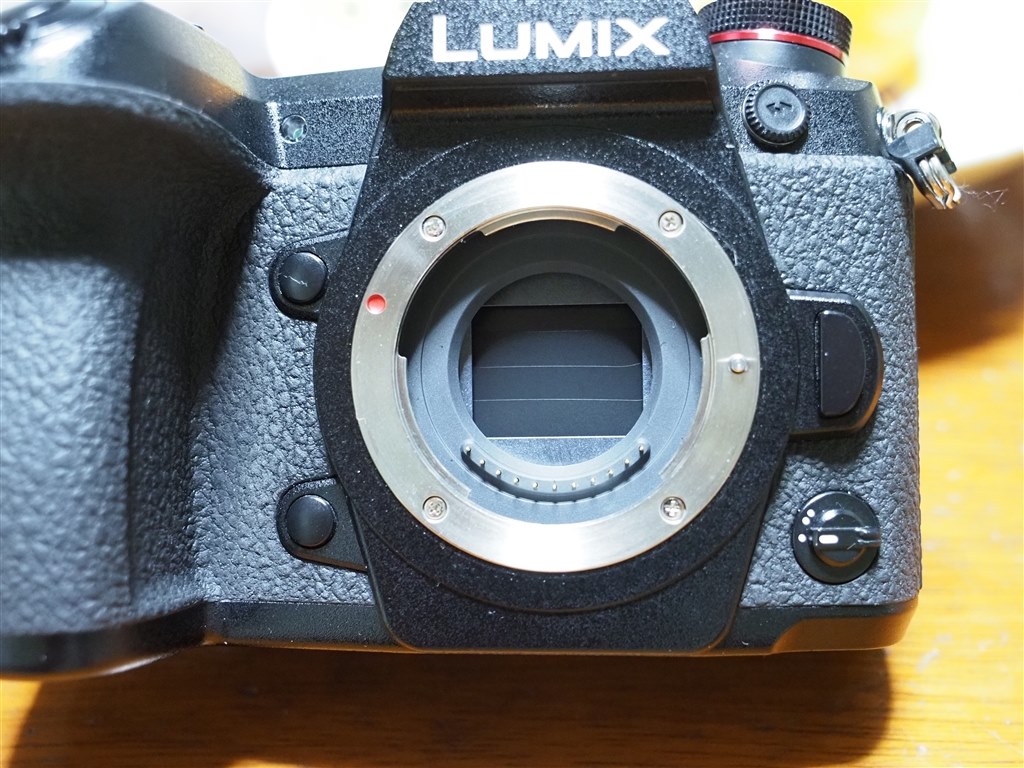 突然カメラが壊れた(>_<)』 パナソニック LUMIX DC-G9 ボディ の ...