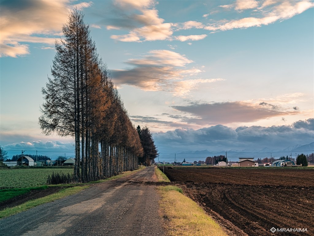 いい相棒になってくれそうです 富士フイルム Fujifilm Gfx50s Ii Gf35 70mmレンズキット のクチコミ掲示板 価格 Com