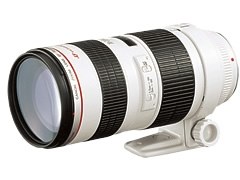 70-200mm F2.8の買い替えを考えています』 シグマ APO 70-200mm F2.8