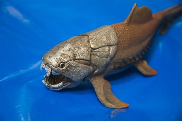 ニコン AF-S DX Zoom-Nikkor 18-70mm f/3.5-4.5G IF-EDで撮影された