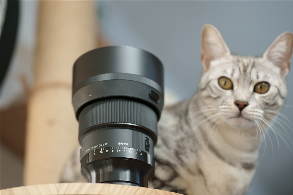 悩んでおります』 シグマ 90mm F2.8 DG DN [ソニーE用] のクチコミ掲示板 - 価格.com