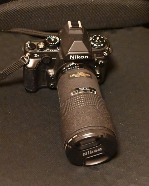 Nikon F100 + レンズ2本 brennanprobst.com: July 2022