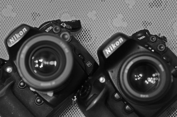 ニコン AF-S Micro NIKKOR 60mm f/2.8G EDで撮影された写真 - 価格.com