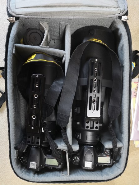 CANON EF200-400mm F4L IS USM エクステンダー 1.4×投稿画像 CANON EF200-400mm F4L IS USM エクステンダー 1.4×投稿画像