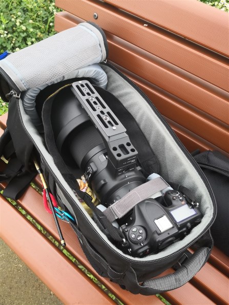 CANON EF200-400mm F4L IS USM エクステンダー 1.4×投稿画像 CANON EF200-400mm F4L IS USM エクステンダー 1.4×投稿画像