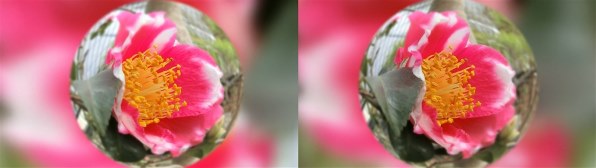 カシオ HIGH SPEED EXILIM EX-ZR300投稿画像・動画 - 価格.com