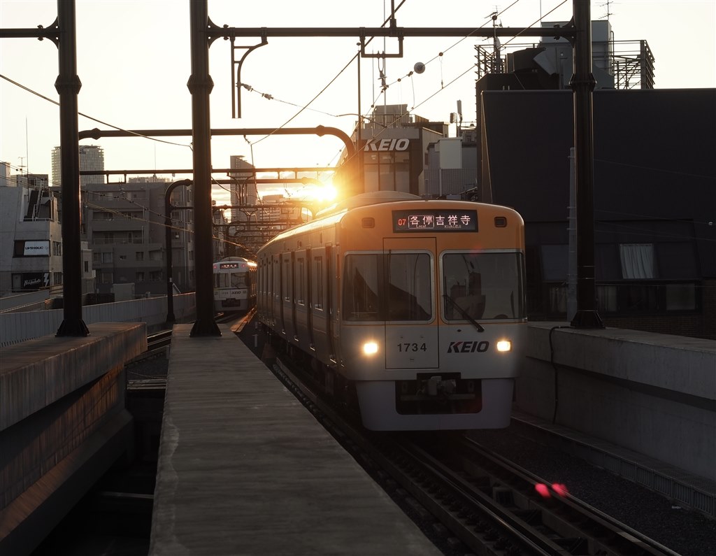 隠し撮り電車接写 旬の園内フォトさんぽ｜宇治市植物公園（公式ホームページ）