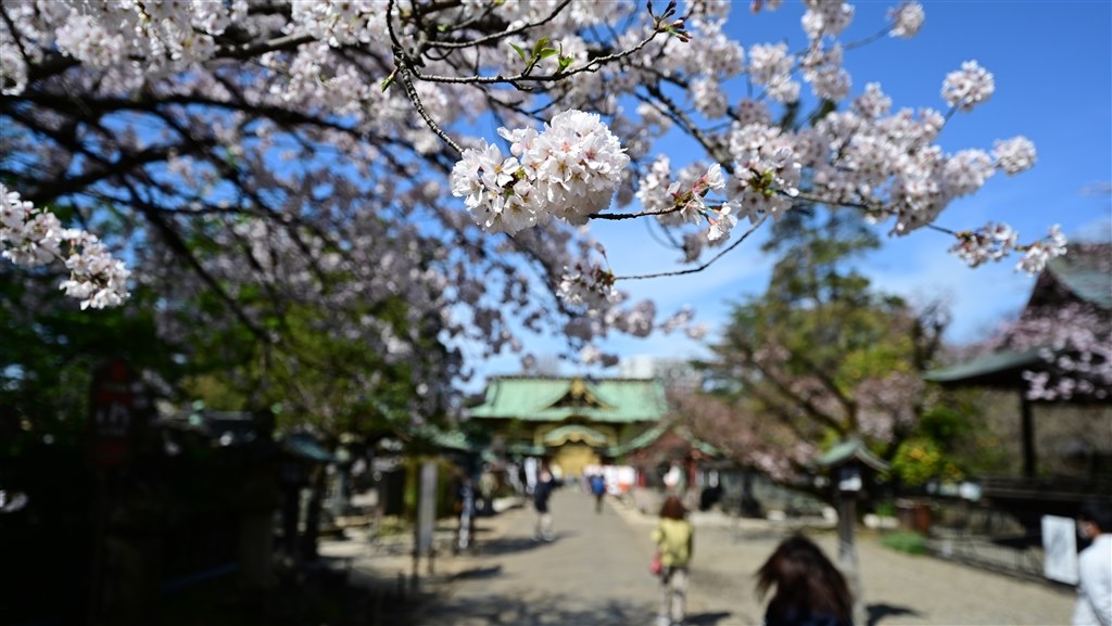 広角の近接撮影』 ニコン NIKKOR Z 20mm f/1.8 S のクチコミ掲示板