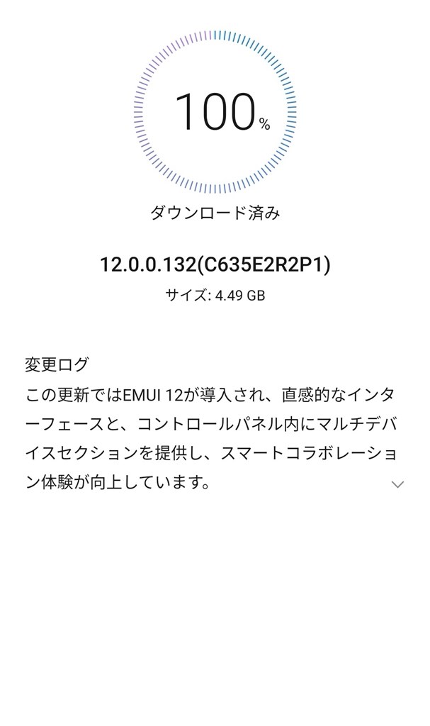 ANDROID - 【専用】P30 Pro SIMフリー海外版 おまけいろいろ ANDROID - 【専用】P30 Pro SIMフリー海外版 おまけいろいろ