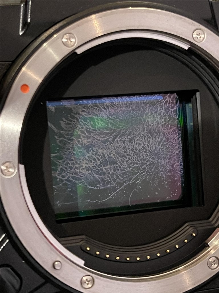 センサーの汚れ』 富士フイルム FUJIFILM GFX50S II ボディ の