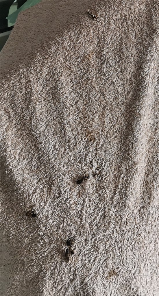 鳥の糞対策 日産 エクストレイル 13年モデル のクチコミ掲示板 価格 Com