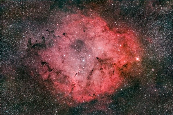 星景 Z7II(HKIR改造) vs Z6II(HKIR改造) vs Z6(HKIR改造)』 ニコン Z