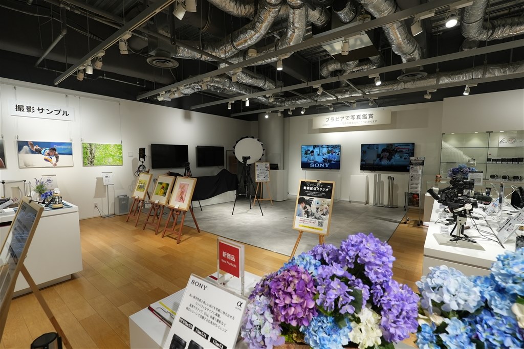 星景以外の使い道』 SONY E 11 mm F1.8 SEL11F18 のクチコミ掲示板