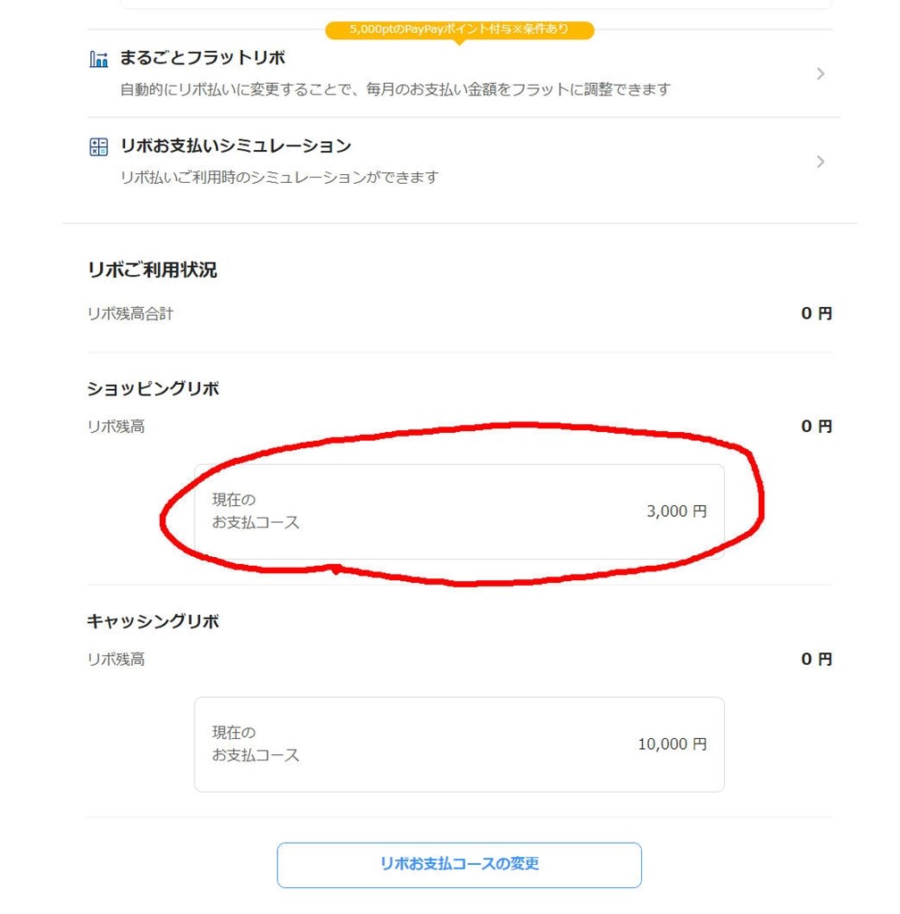 PayPayカードリボ払い反映いつ？