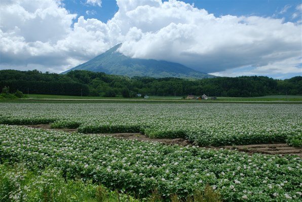 フジカラーで写そう♪その10』 クチコミ掲示板 - 価格.com