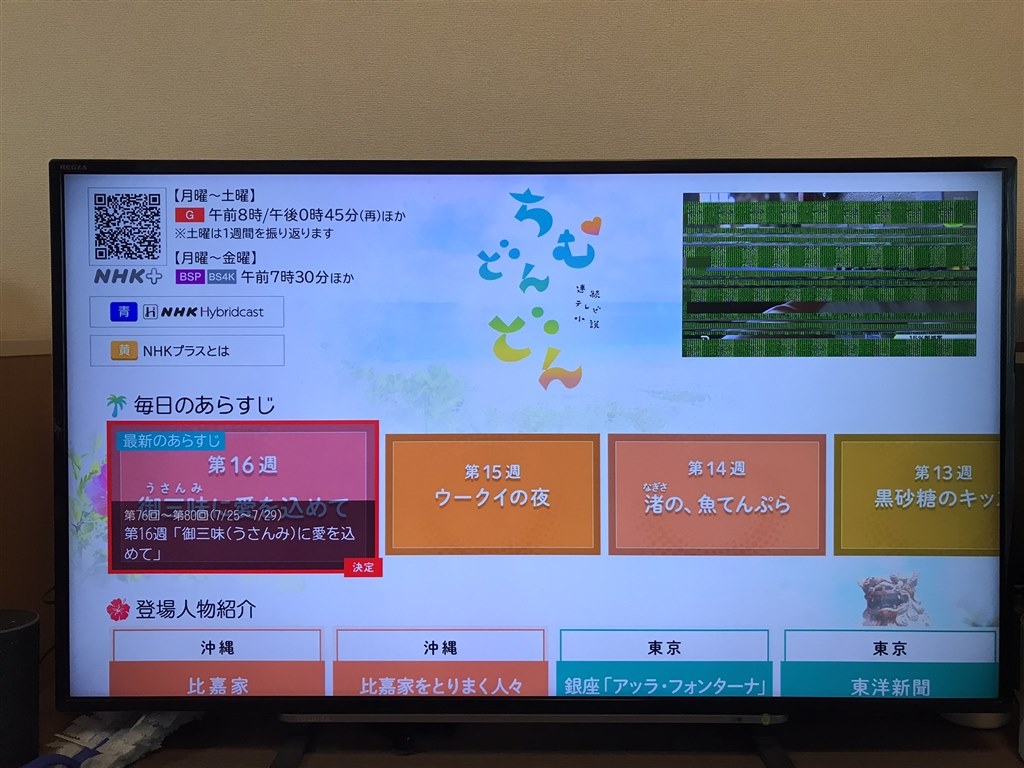 TOSHIBA REGZA 液晶テレビ43インチ 43G20X - テレビ