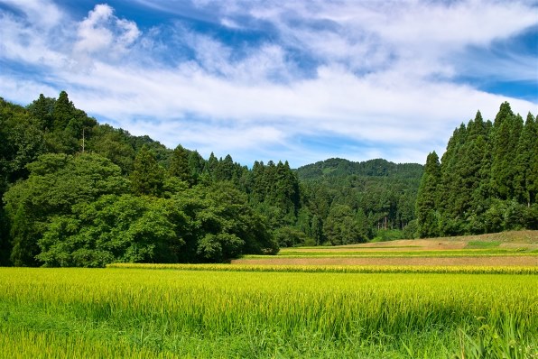 シグマ SIGMA DP2sで撮影された写真 - 価格.com シグマ SIGMA DP2sで撮影された写真 - 価格.com