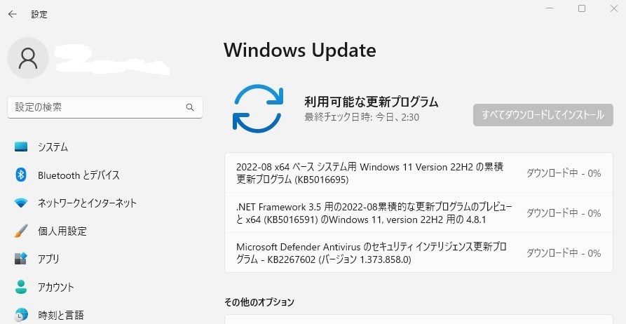 Windows 11 Insider Preview 22621.457 (Release Preview)』 クチコミ 