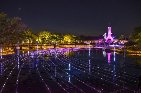 ペンタックス smc PENTAX-DA☆ 16-50mm F2.8ED AL[IF]SDM投稿画像