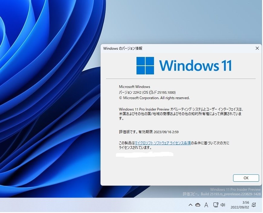 Windows 11 Insider Preview 25193.1000 (rs_prerelease)』 クチコミ