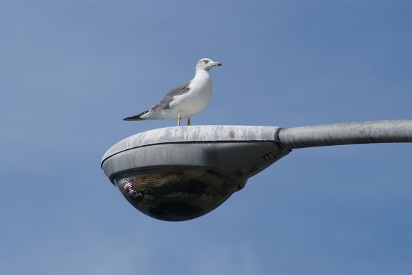 コニカ ミノルタ AFアポテレズーム100-400mmF4.5-6.7 コニカミノルタ AF APO TELE ZOOM 100-400mm F4.5-6.7 交換