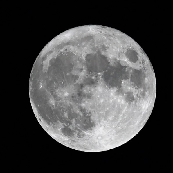 ニコン AI AF-S Nikkor 300mm f/4D IF-ED [ライトグレー]で撮影