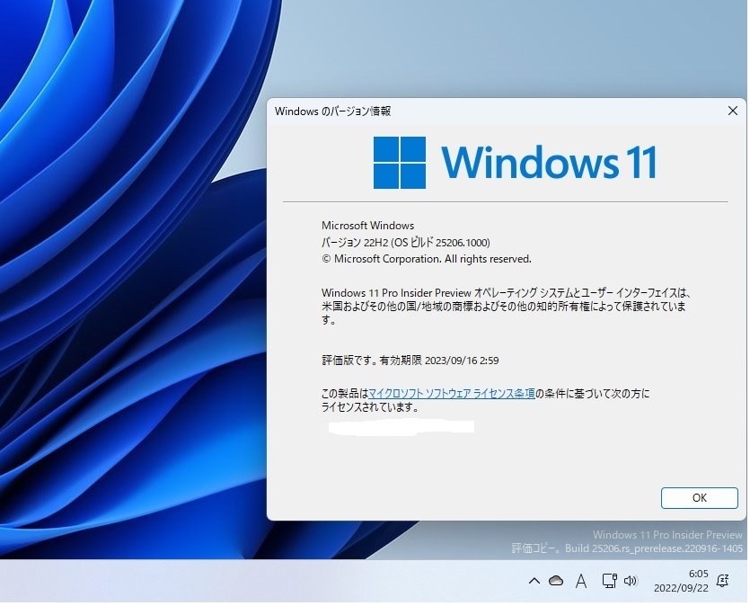 Windows 11 Insider Preview 25206.1000 (rs_prerelease)』 クチコミ